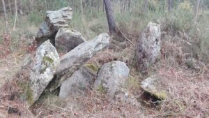 Estado actual do dolmen de Pedra Vixia. Foto EDR