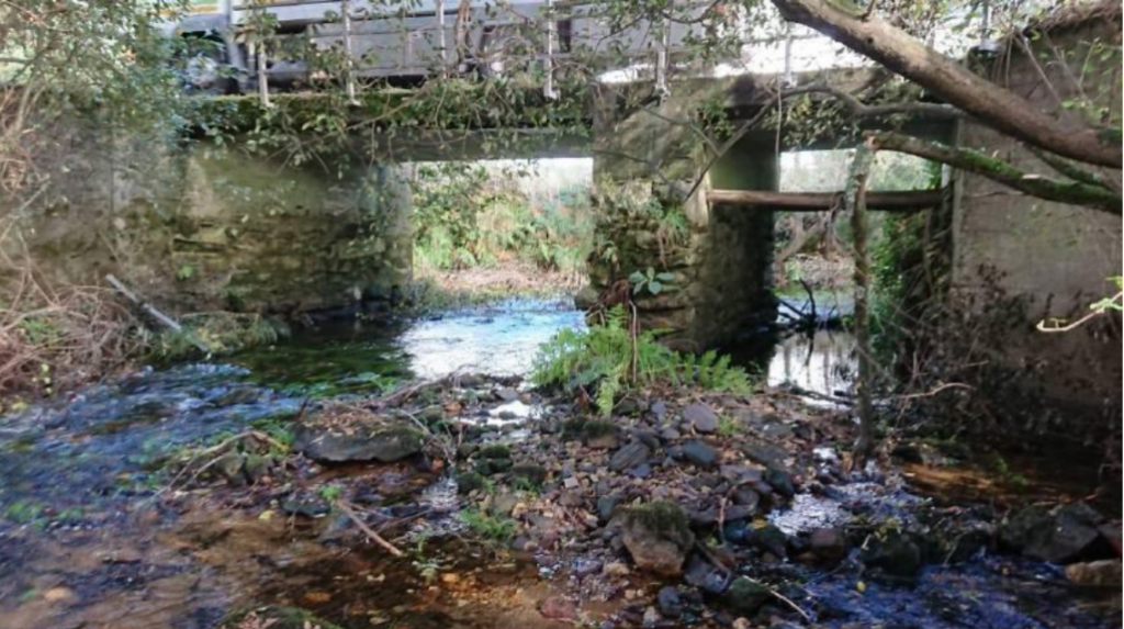 Zas ampliacion ponte allo