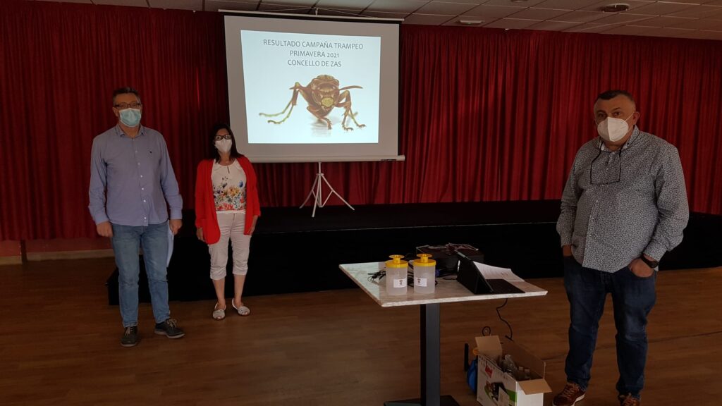 Peche campana trampeo vespa velutina concello zas1