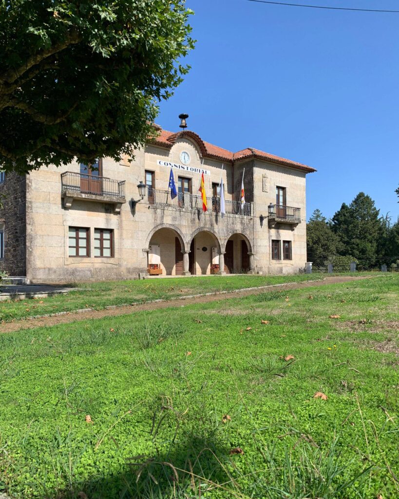 Zas bandeiras media hasta palestina