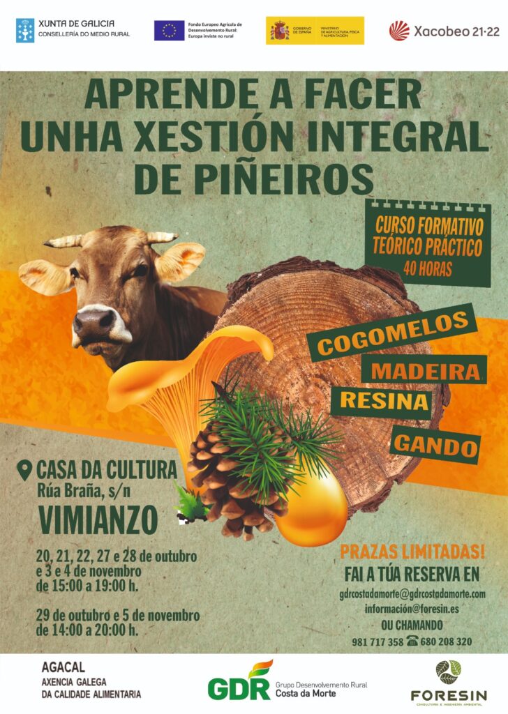 Curso xestion integral pineiros