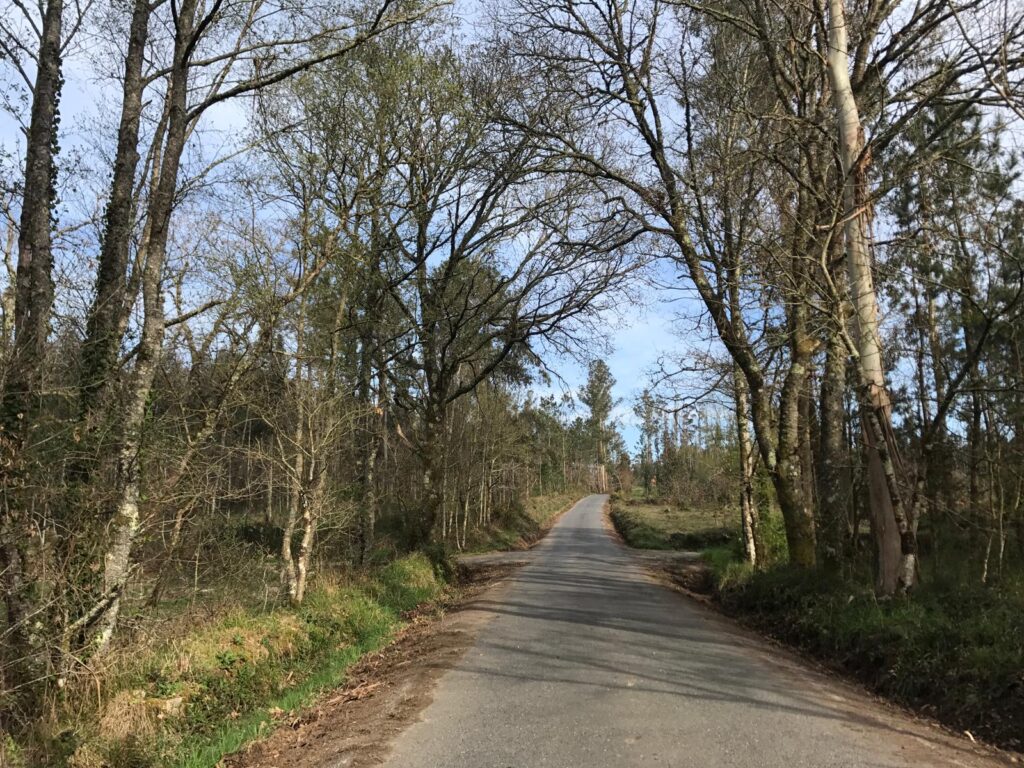 Limpeza cunetas concello de zas