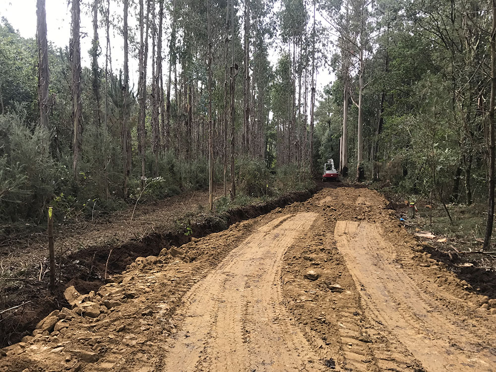 Melloras caminos forestais concello zas