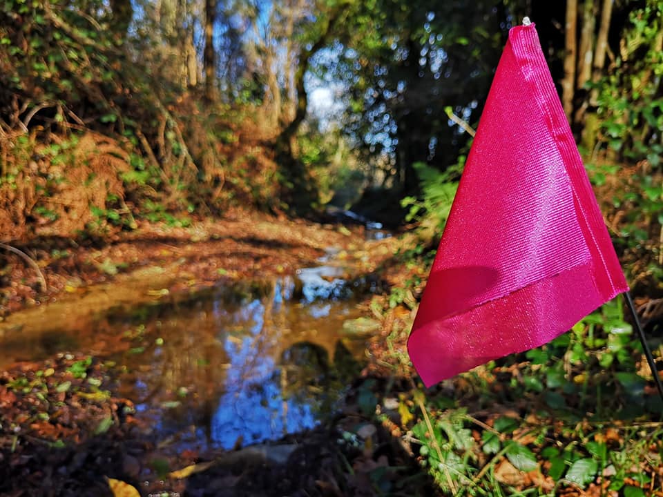 Sinalizacion trail Filloa