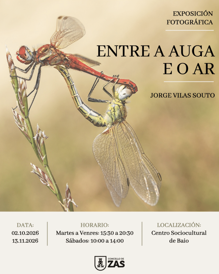 Expo Jorge Vilas cartel