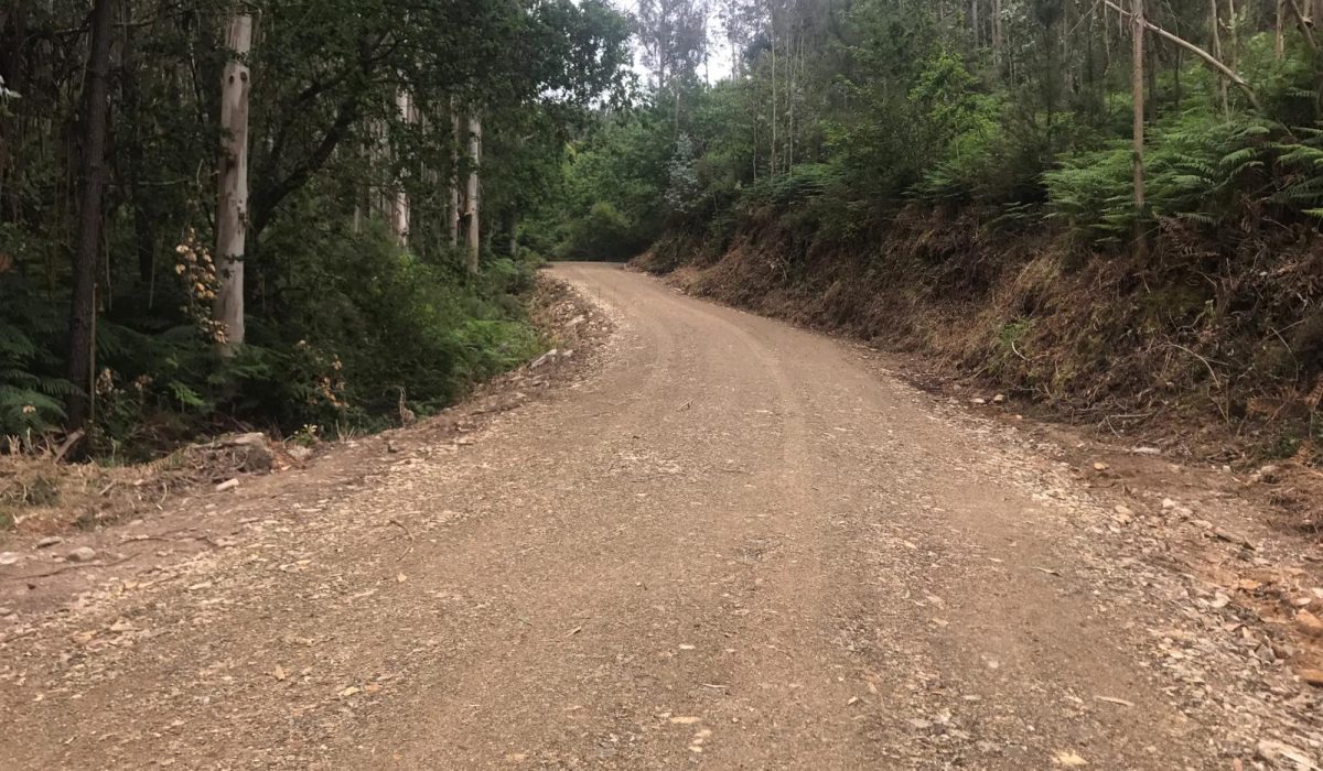 1Camino_forestal_Vilaestevez