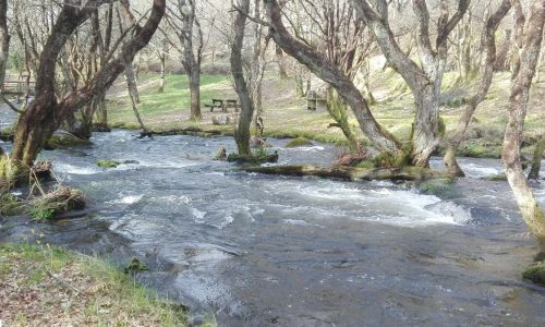 Area_recreativa_de_Pedra_Vixia._Foto_EDR