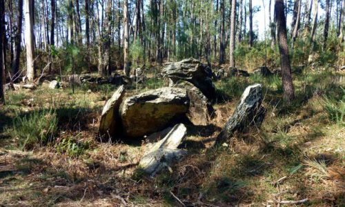 Dolmen de Pedra Vixia