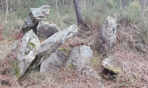 Estado_actual_do_dolmen_de_Pedra_Vixia._Foto_EDR