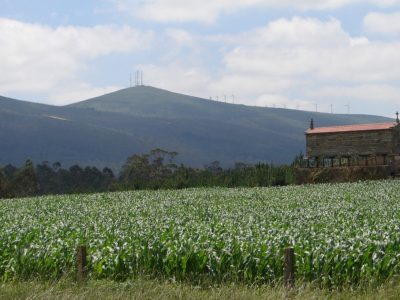 Gándara no concello de zas 00002