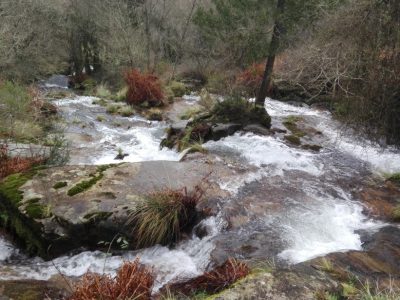 Gándara no concello de zas 00006