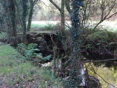 Gándara no concello de zas 00007