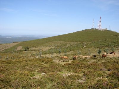 Gándara no concello de zas 00011