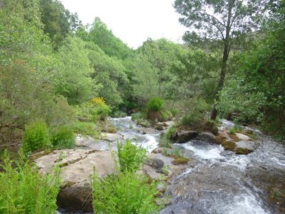 Gándara no concello de zas 00015