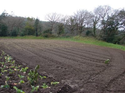 Gándara no concello de zas 00028