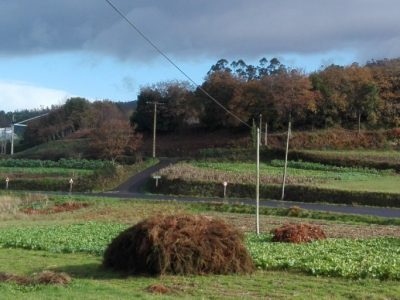 Gándara no concello de zas 00029