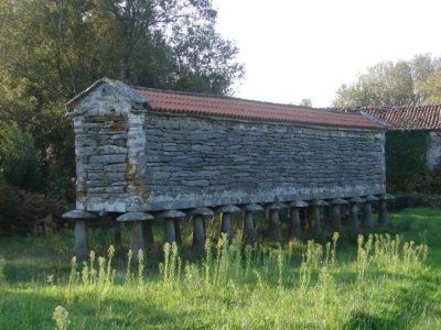 Gándara no concello de zas 00030