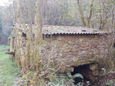 Gándara no concello de zas 00031