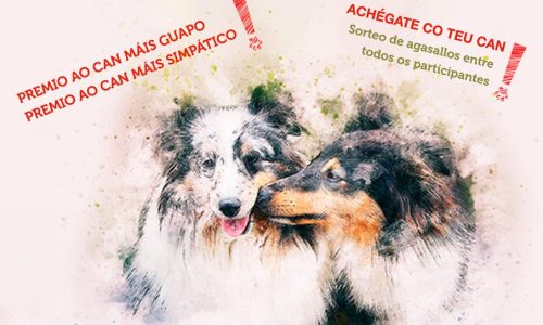 II Xornada Canina Concello de Zas