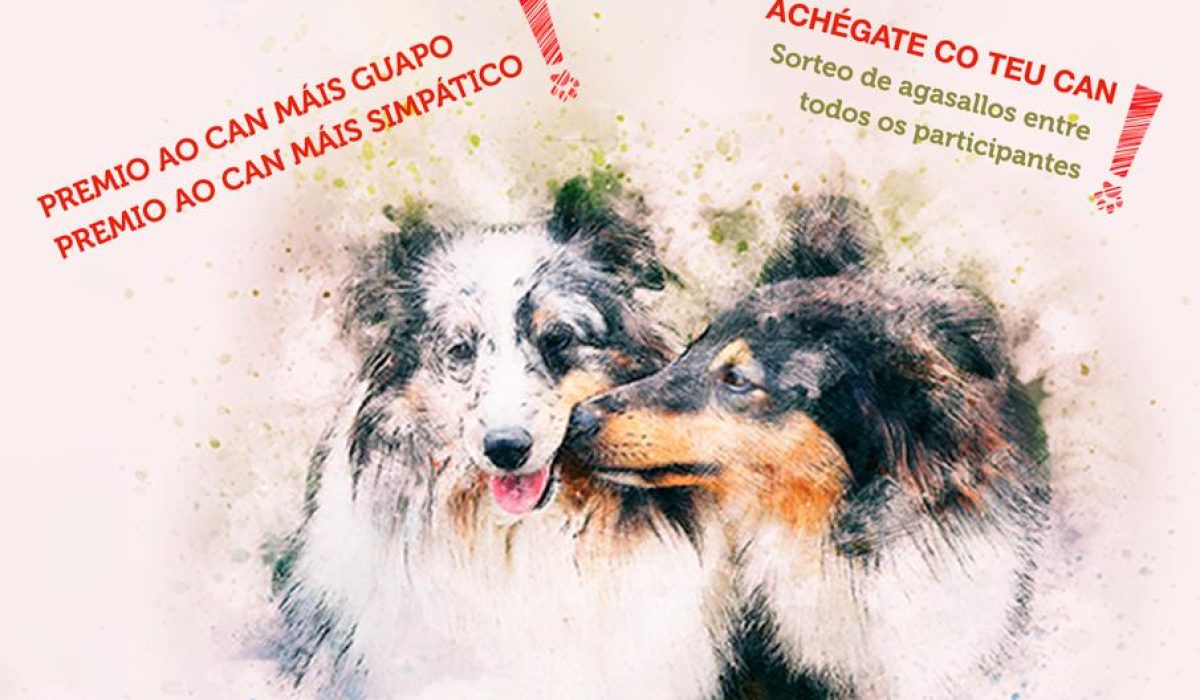 II Xornada Canina Concello de Zas