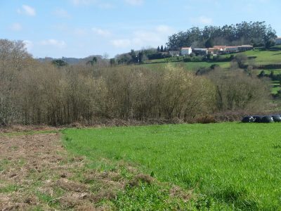 OUTRA_VISTA_DE_ROMELLE._(Foto_EDR)