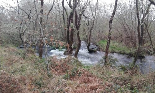 O_rio_de_Zas_o_seu_paso_por_Pedra_Vixia