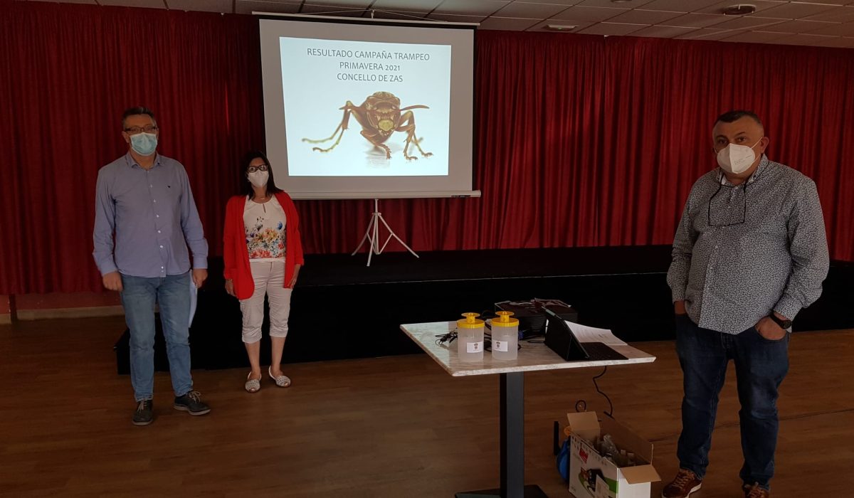 Peche_campana_trampeo_vespa_velutina_concello_zas1