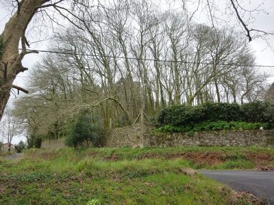 Peche_da_finca_do_pazo_de_Romelle._(Foto_EDR)