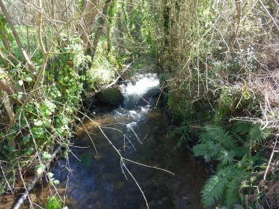 Rio_Torrente_(Foto_EDR)