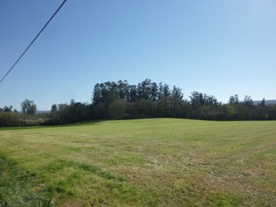 San cremenzo de pazos concello de zas 00014