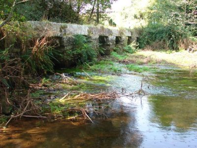 San pedro de vilar en zas 00003