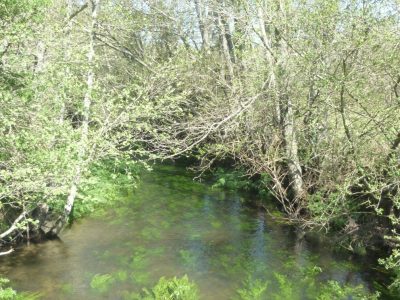 Santa maría de lamas 00004