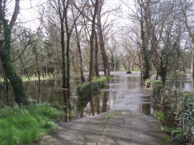 Santa maría de lamas 00007