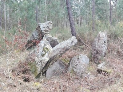 Santa maría de lamas 00019