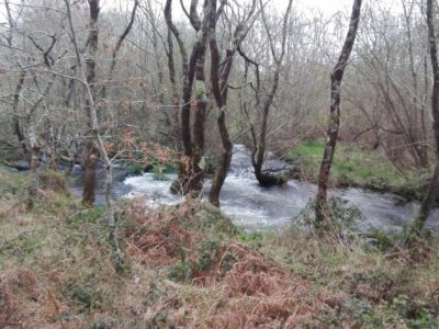 Santa maría de lamas 00020