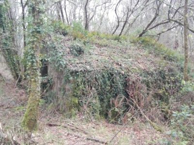 Santa maría de lamas 00021