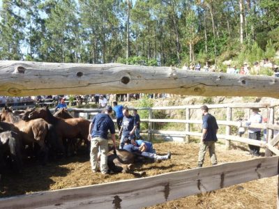 Santiago de carreira en zas 00012