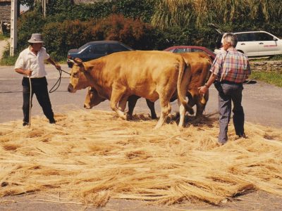 Santiago de carreira en zas 00013