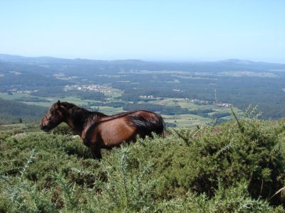 Santiago de carreira en zas 00019