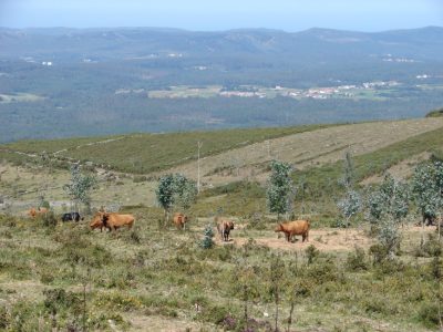Santiago de carreira en zas 00020