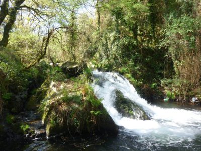 Santo adrián de castro no concello de zas 00001