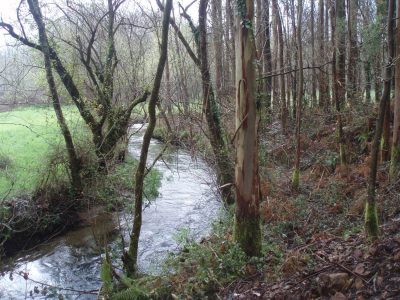 Santo adrián de castro no concello de zas 00014