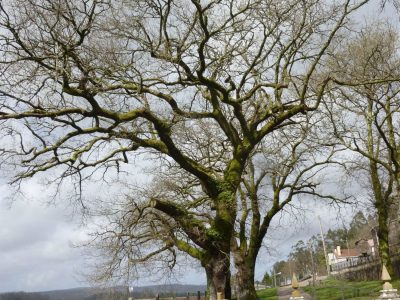 Santo adrián de castro no concello de zas 00015