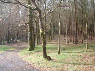 Santo andré de zas 00002