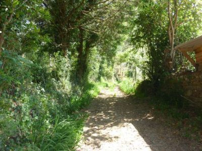 Santo andré de zas 00024