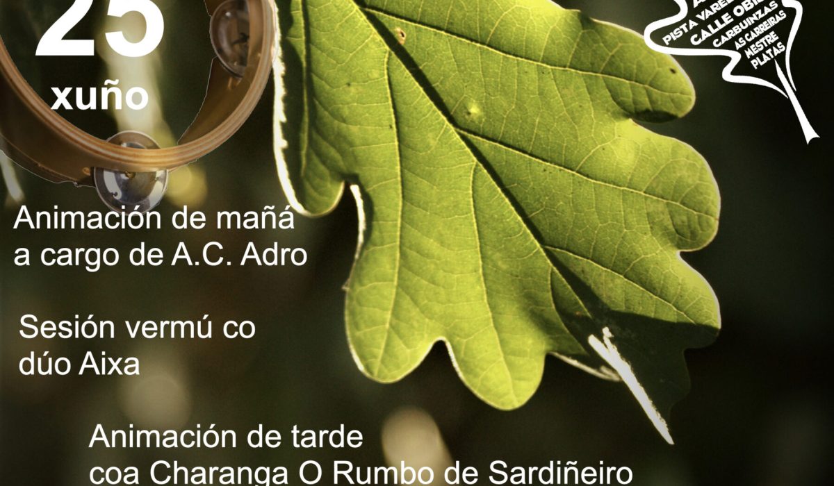 carballeira-baio-2023