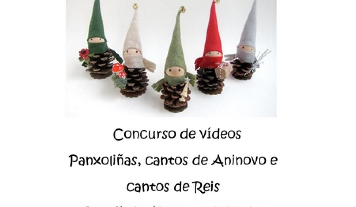 concursoPanxolinaZAS