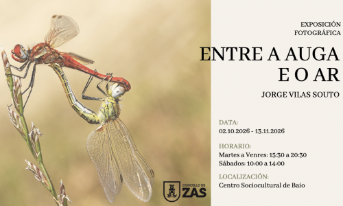 Expo Jorge Vilas web