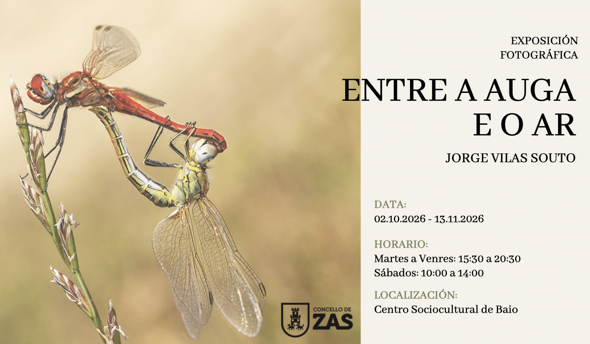 Expo Jorge Vilas web