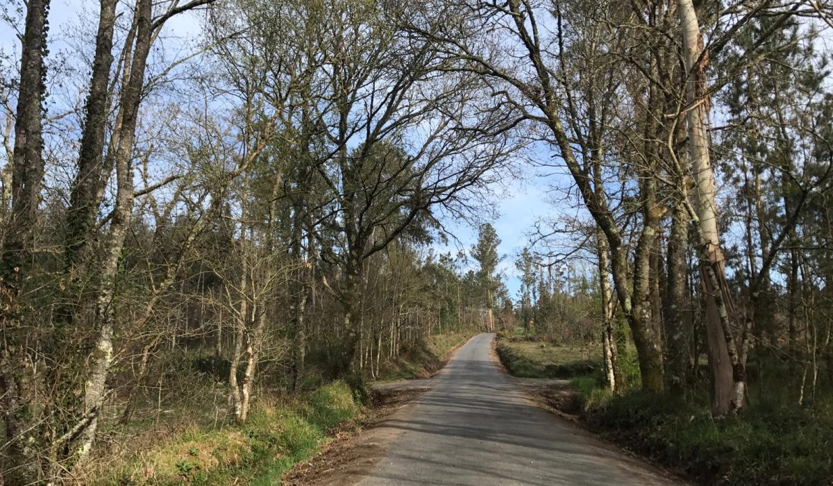 limpeza_cunetas_concello_de_zas